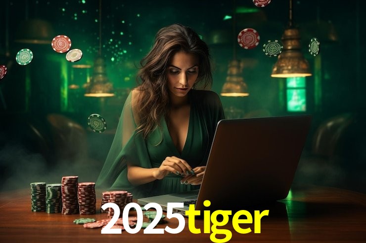 2025tiger - Installation Guide